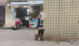 重庆婆婆最新爆料,家庭琐事中的温馨与智慧